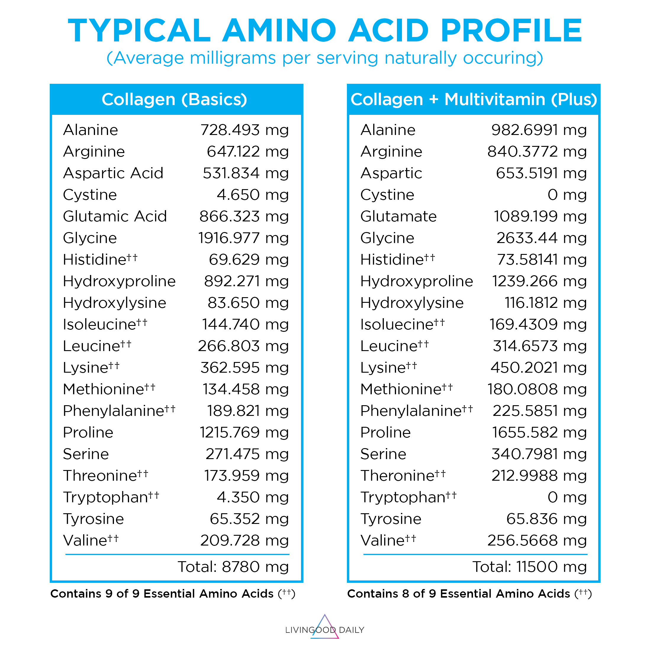 Chocolate Collagen + Multivitamin - Image 3